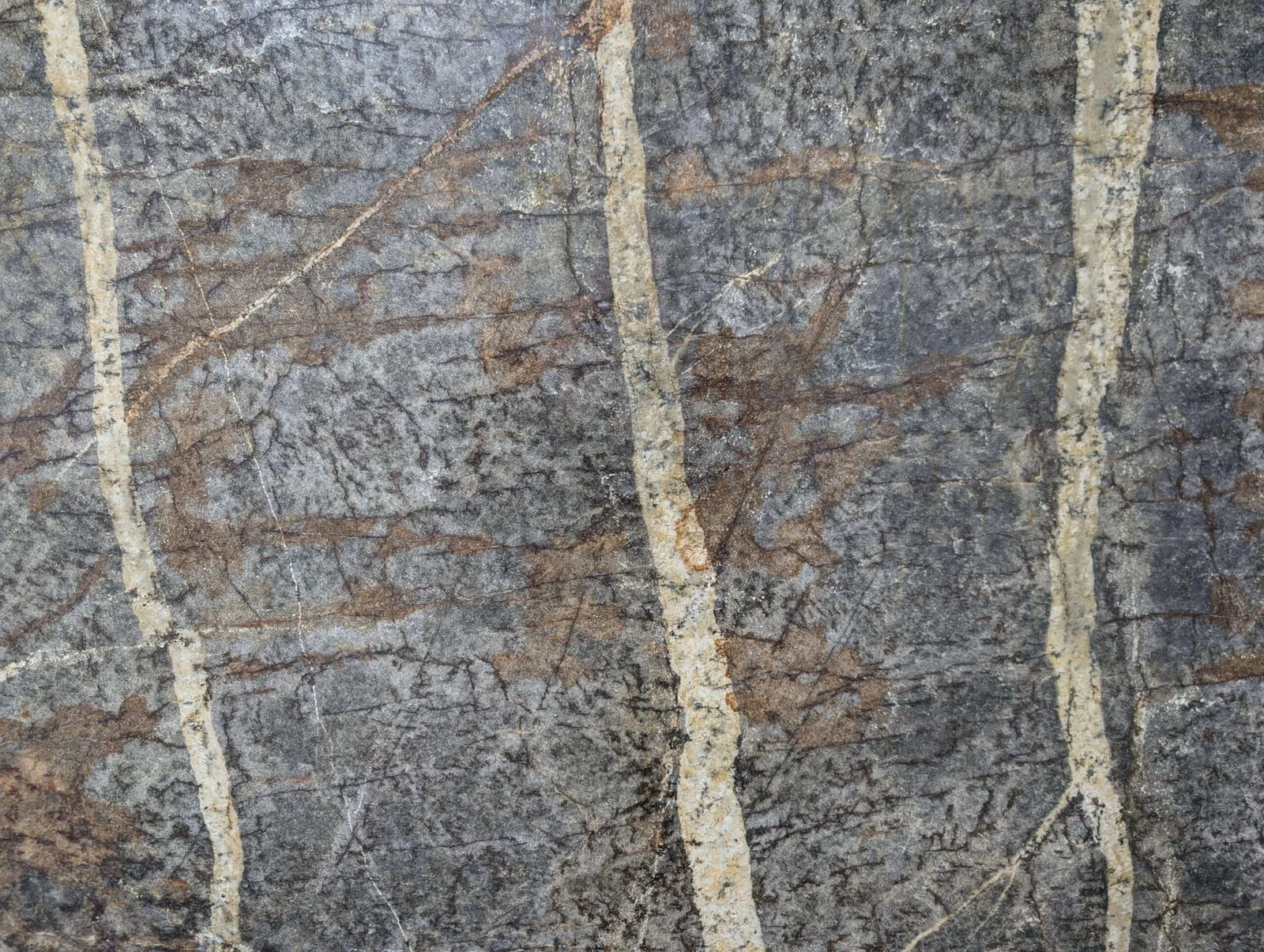 Invictus-close-up